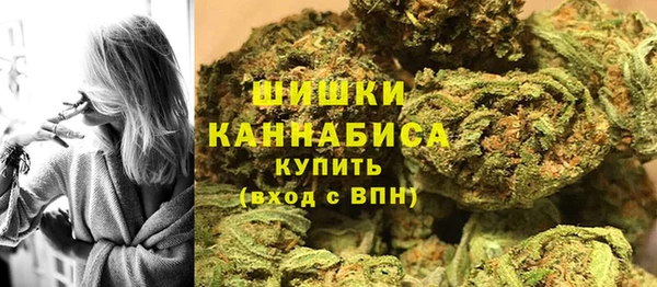 гидропоника Алзамай