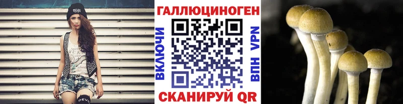 закладка  Каргат  Галлюциногенные грибы Cubensis 